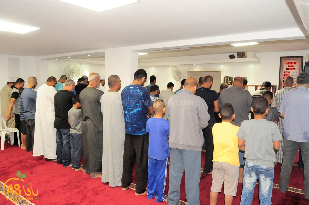 Mosala dahmash3j1 (17).JPG